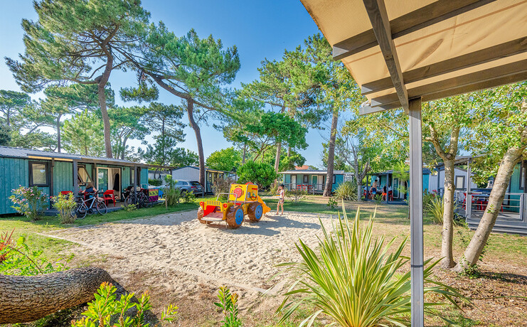 marina_landes_2025_placette-85016531_0.jpg